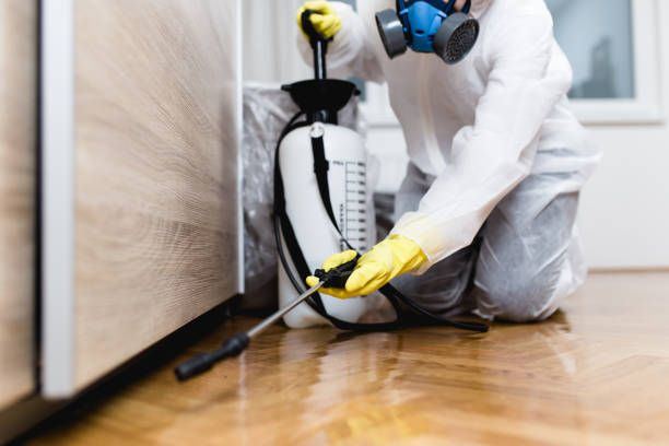 Best Ant Control Services  in Cumberland Center, ME