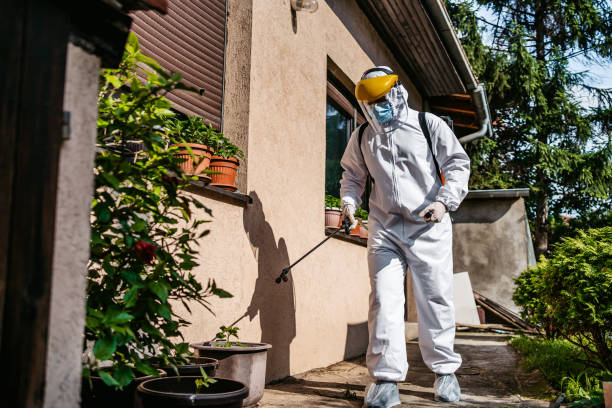Best Cockroach Control Services  in Cumberland Center, ME