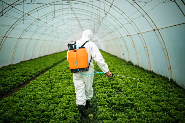 Best Pest Removal Services  in Cumberland Center, ME