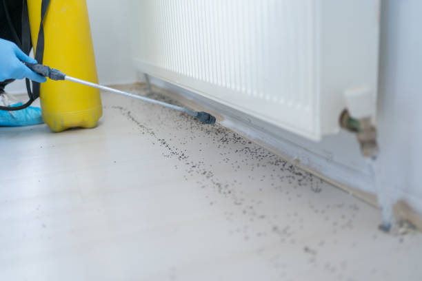 Best Commercial Pest Control Services  in Cumberland Center, ME
